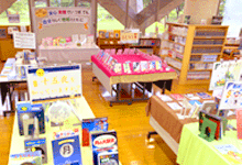 企画展